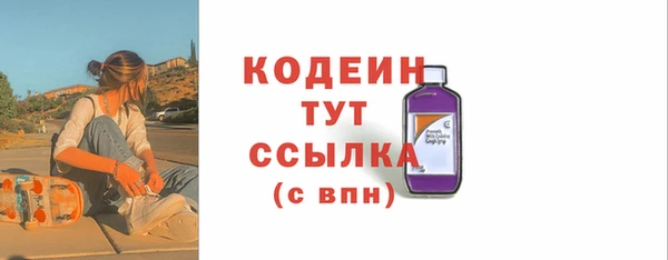 крисы Козловка