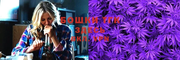 крисы Козловка