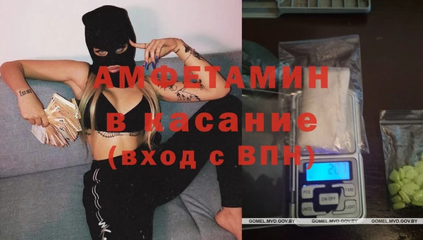 крисы Козловка