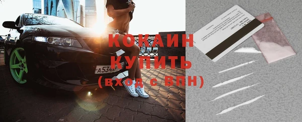 крисы Козловка